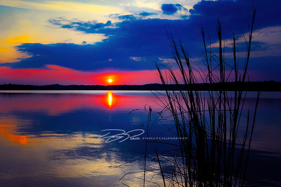 Belews Lake