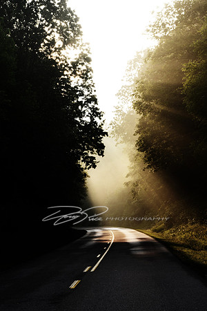 Along the Blue Ridge Parkway near Grandfather Mt.