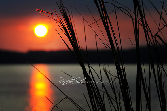 Belews Lake