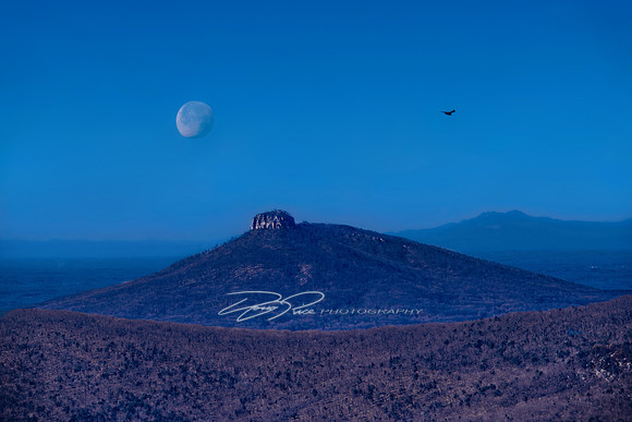 Pilot & Grandfather Mts., the Moon and a Buzzard