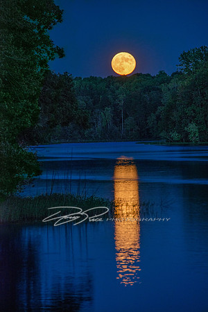 Moonrise at Salem Lake