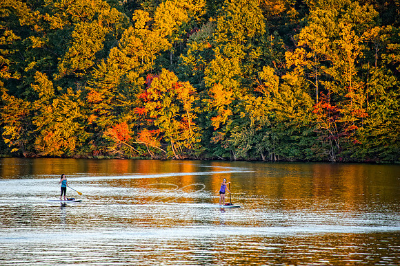 Paddle Boarding on Salem Lake